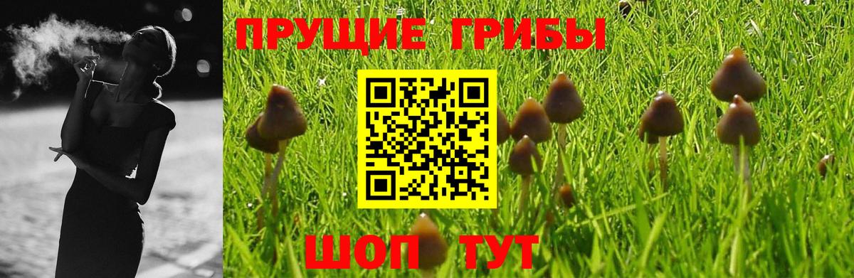 Бирск  Галлюциногенные грибы Magic Shrooms  Вход с VPN 